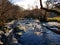 River and winter trees, Aira Force, lake district