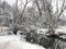 River in Winter: Water in a small river runs through a snow covered prairie with a few bare trees along the banks of the river on