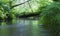 River in the wood - Norway Bergen