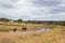 River in the yellow savanna of Tarangire National Park, in Tanzania, with some elephants and zebras drinking water