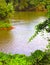 Riverbank Greenery Enhances Water View