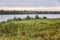 Riverbank with lush green vegetation. Beautiful summer landscape