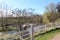 Riverbank scene on a sunny day in Scotland