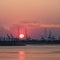 Riverbank with silhouettes of container terminal cranes during a sunset, Port of Antwerp, Belgium