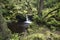 Riverbank and waterfall at Padley Gorge in Derbyshire