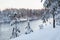 Riverbed with open water at winter season, snowy riverside with snowbound firs and pines, Karelia
