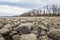 The riverbed of the Rhine at low tide.