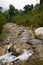 Riverbed in ruwenzori mountains