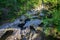 Riverbed for salmon laying eggs at Maritime Heritage Park, Bellingham, Washington