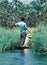 Rivercruise through the thick reed of the Okavango Swamps. Mit d