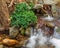 Riverine vegetation at splashing water