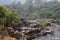 Rivers flowing between mountains and jungle india