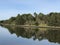 Riverside bushland vegetation reflected in the still water