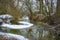 Riverside forest near the danube river in enns