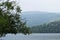 Riverside forest view surrounded by mountains