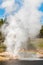 Riverside Geyser with a rainbow in Yellowstone, vertical