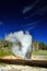Riverside geyser. Yellowstone National Park