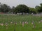 Riverside National Cemetery Memorial Day Flag for every hero 2017