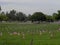 Riverside National Cemetery Memorial Day West Coast Thunder