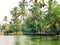 Riverside palm trees in kerala Alleppey Kerala houseboats Alappuzha Laccadive Sea southern Indian state of Kerala