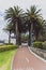 Riverside pedestrian walk in Perth with palm trees next to the Swan River