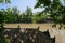 Riverside traditional buildings in woods at sunny summer noon