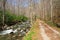 Riverside trail in the smokies