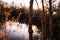 Riverside Wetlands at Sunset in the Four Corners