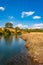 Riverside yellow grass countryside fields with bright blue sky at morning from flat angle