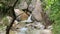 Rivulet of the Ambro river through waterfall