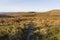 Rivulet of rainwater runs down the slope of Burbage Valley