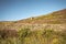 The Roaches Hillside Detail at Bright Summer Evening