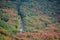 Road across a vivid colorful forest in autumn