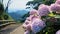 a road adorned with hydrangeas on the banks, surrounded by the lush Atlantic Forest, the vibrant colors of spring in a