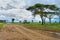 road in the African savannah