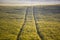 Road in agricultural rye field during calm summer sunset. Original morning scenery