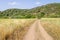 Road in Ajezur with mountain and vegetation