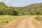 Road in Ajezur with mountain and vegetation