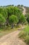 Road in Ajezur with pine forest, mountain and vegetation