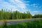 Road along hop field in Zatec hops area.