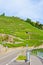 Road along terraced vineyards in famous Lavaux wine region, Switzerland. Photographed in picturesque village Riex in summer season
