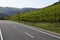 road along vineyards between Cochem and Klotten in October