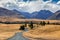 Road alongside Lake Tekapo