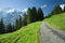 A road in alps