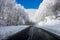 Road through amazing snowy scenery in Vigla, Florina, Greece