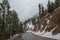 Road In Angeles Crest NationalForest