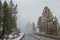 Road In Angeles Crest NationalForest