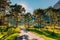 Road with araucaria trees and house in Santa Catarina, Brazil