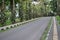 The road in the area of Bedugul Bali botanical garden