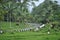 The road in the area of Bedugul Bali botanical garden
